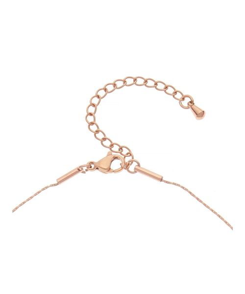 EATME（イートミー）の「ミニリングモチーフサージカルネックレス（ネックレス・レディース・ゴールド/ピンク・FREE）」の6枚目の写真