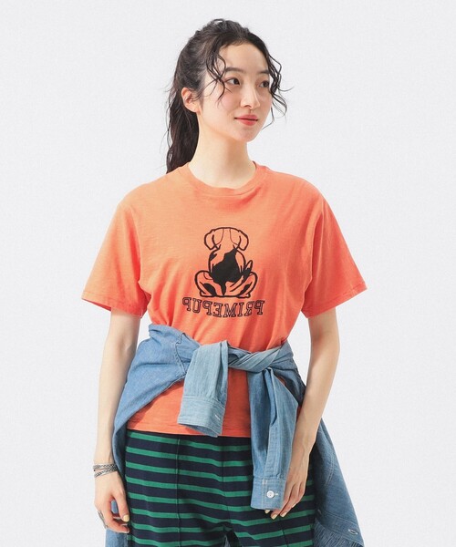 BEAMS BOY（ビームスボーイ）の「ボーイ ドッグ Tシャツ（Tシャツ/カットソー・レディース・オレンジ/オフホワイト・1/0/2）」の2枚目の写真