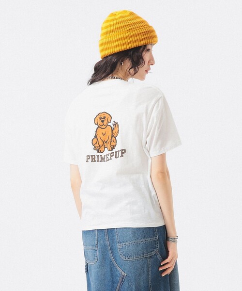 BEAMS BOY（ビームスボーイ）の「ボーイ ドッグ Tシャツ（Tシャツ/カットソー・レディース・オレンジ/オフホワイト・1/0/2）」の10枚目の写真