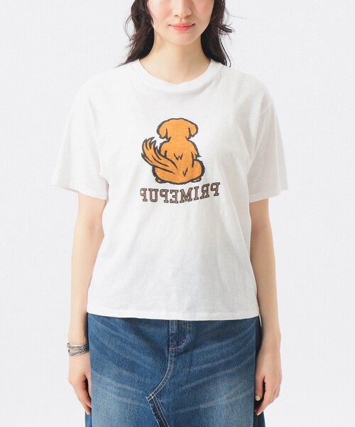 BEAMS BOY（ビームスボーイ）の「ボーイ ドッグ Tシャツ（Tシャツ/カットソー・レディース・オレンジ/オフホワイト・1/0/2）」の14枚目の写真