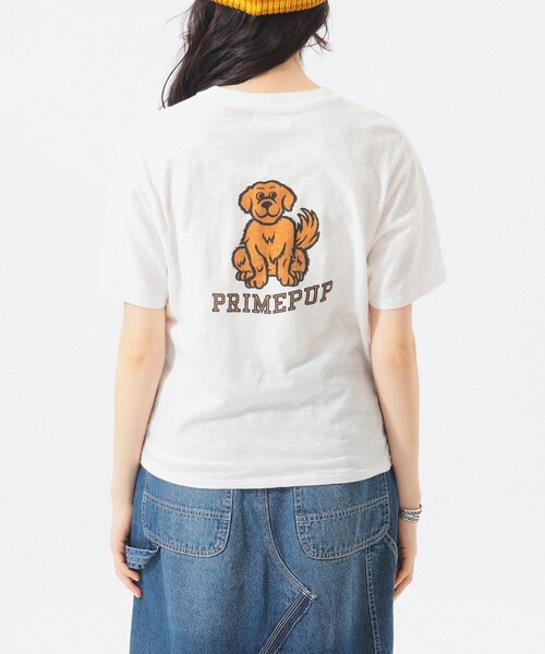 BEAMS BOY（ビームスボーイ）の「ボーイ ドッグ Tシャツ（Tシャツ/カットソー・レディース・オレンジ/オフホワイト・1/0/2）」の16枚目の写真