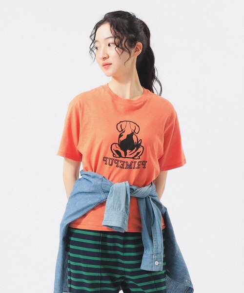 BEAMS BOY（ビームスボーイ）の「ボーイ ドッグ Tシャツ（Tシャツ/カットソー・レディース・オレンジ/オフホワイト・1/0/2）」の20枚目の写真