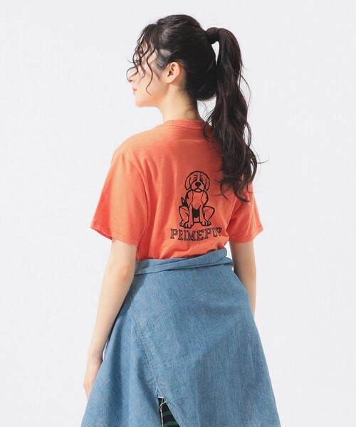 BEAMS BOY（ビームスボーイ）の「ボーイ ドッグ Tシャツ（Tシャツ/カットソー・レディース・オレンジ/オフホワイト・1/0/2）」の21枚目の写真