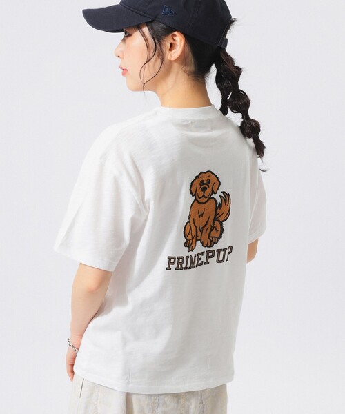 BEAMS BOY（ビームスボーイ）の「ボーイ ドッグ Tシャツ（Tシャツ/カットソー・レディース・オレンジ/オフホワイト・1/0/2）」の3枚目の写真