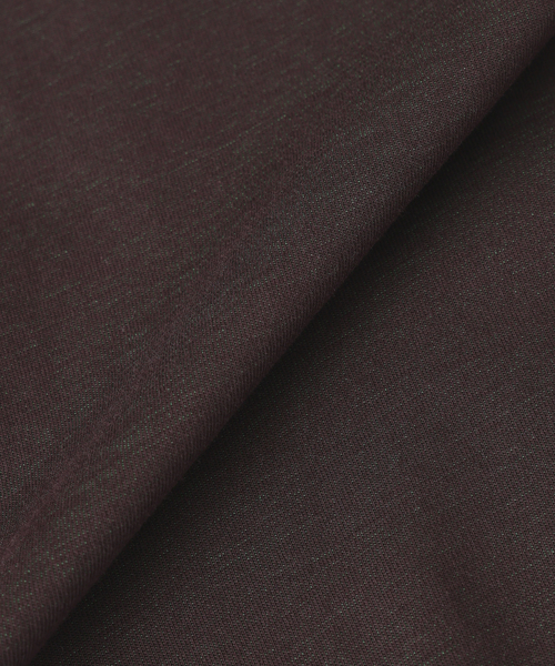 JOURNAL STANDARD relume(ジャーナルスタンダード レリューム)の「【接触冷感】ダブルフェイス バックメッシュ Tシャツ(Tシャツ/カットソー・メンズ・ライトグリーン/グレー/ブラウン/ネイビー・LARGE/MEDIUM)」の11枚目の写真