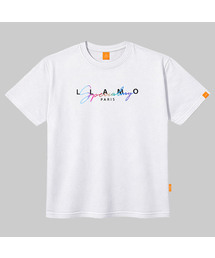 カラースペシャル 半袖Tシャツ 男女共用 ビッグサイズ S 4XL