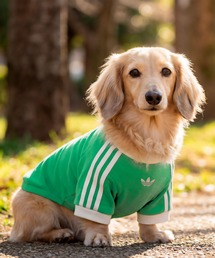 adidas（アディダス）の「ペット カリ Tシャツ / アディダスオリジナルス adidas Originals（ペットウェア）」
