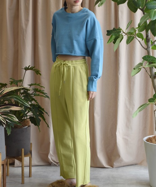 Alley by w closet（アリーバイダブルクローゼット）の「【Alley】ハングル裏毛ショートプルオーバー（スウェット・レディース・ピンク/ブルー/イエロー・FREE）」の19枚目の写真