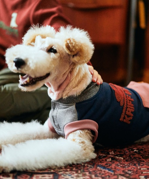 KRIFF MAYER（クリフメイヤー）の「【犬服・ドッグウェア】裏起毛DOGロゴクルー（ペットウェア・メンズ・カラフル/カーキ/ピンク/グレー/ナチュラル/ネイビー/オレンジ/チャコール・MEDIUM/SMALL/X-LARGE/LARGE）」の17枚目の写真