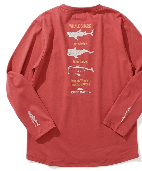KRIFF MAYER Kid's Collection（クリフメイヤーキッズコレクション）の「【保温機能】ぬくテクロンT（ジンベイザメ）（Tシャツ/カットソー・キッズ・オフホワイト/レッド/グリーン/ネイビー・120/130/140/150/160/170）」の4枚目の写真
