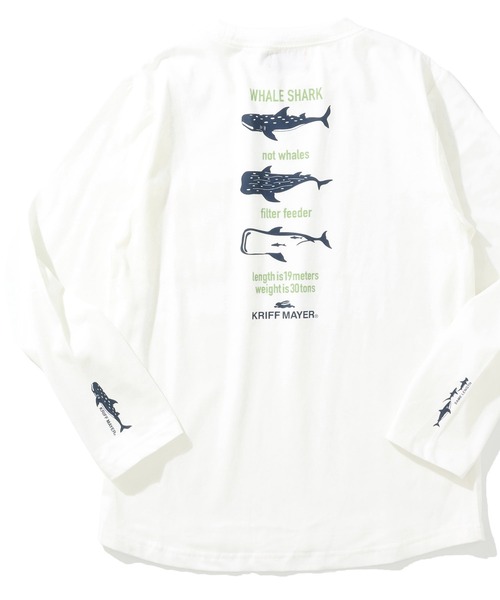 KRIFF MAYER Kid's Collection（クリフメイヤーキッズコレクション）の「【保温機能】ぬくテクロンT（ジンベイザメ）（Tシャツ/カットソー・キッズ・オフホワイト/レッド/グリーン/ネイビー・120/130/140/150/160/170）」の2枚目の写真