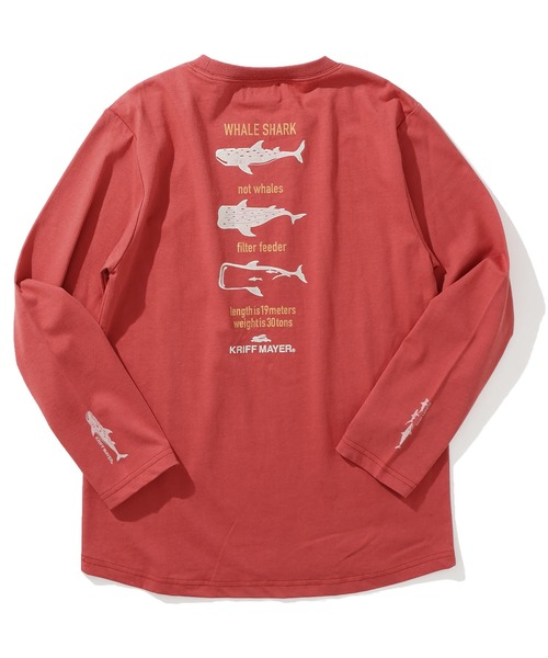 KRIFF MAYER Kid's Collection（クリフメイヤーキッズコレクション）の「【保温機能】ぬくテクロンT（ジンベイザメ）（Tシャツ/カットソー・キッズ・オフホワイト/レッド/グリーン/ネイビー・120/130/140/150/160/170）」の15枚目の写真