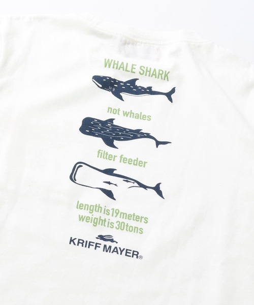 KRIFF MAYER Kid's Collection（クリフメイヤーキッズコレクション）の「【保温機能】ぬくテクロンT（ジンベイザメ）（Tシャツ/カットソー・キッズ・オフホワイト/レッド/グリーン/ネイビー・120/130/140/150/160/170）」の5枚目の写真