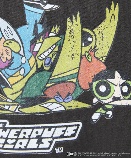 PUBLUX（パブリュクス）の「PUBLUX/パブリュクス 【THE POWERPUFF GIRLS】パワーパフ ガールズ フロントアート クルーネックスウェット　限定展開（スウェット・レディース・チャコールグレー/グレー・ﾌﾘ-）」の9枚目の写真