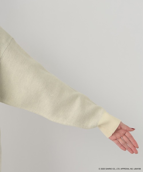 FOUND GOOD（ファウンドグッド）の「【サンリオキャラクターズ】ジャガードニット/31035187（ニット/セーター・レディース・ブルー系9/アイボリー/ホワイト系7/ネイビー・L/M）」の17枚目の写真