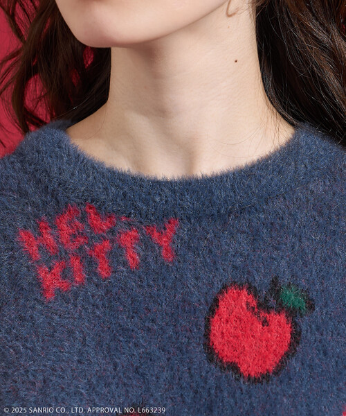 FREAK'S STORE(フリークスストア)の「SANRIO/サンリオ 「HELLO KITTY」 シャギー リボン 総柄 ニット(ニット/セーター・レディース・ネイビー/ホワイト・FREE)」の17枚目の写真