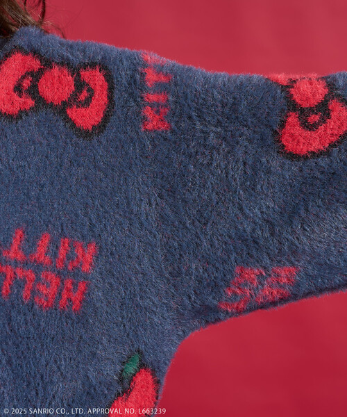 FREAK'S STORE(フリークスストア)の「SANRIO/サンリオ 「HELLO KITTY」 シャギー リボン 総柄 ニット(ニット/セーター・レディース・ネイビー/ホワイト・FREE)」の19枚目の写真