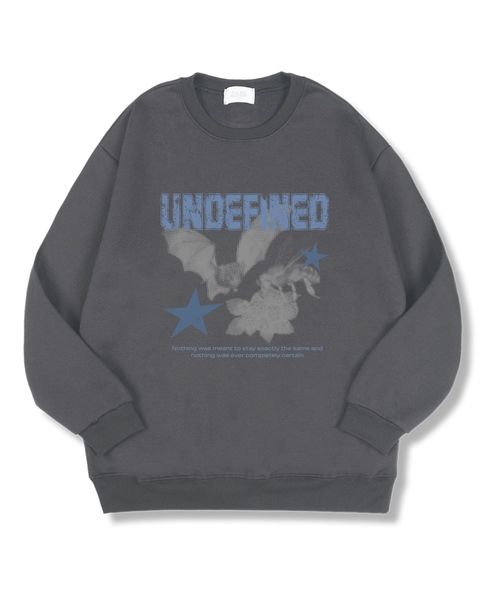 TI.GLAKE(ティーグレイク)の「アンディファイニード オーバーサイズ 特殊裏毛マンツーマンTシャツ 4色(スウェット・レディース・ブラック/ネイビー/グレー/チャコール・MEDIUM/LARGE/X-LARGE/XX-LARGE)」の1枚目の写真