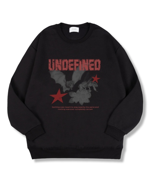 TI.GLAKE(ティーグレイク)の「アンディファイニード オーバーサイズ 特殊裏毛マンツーマンTシャツ 4色(スウェット・レディース・ブラック/ネイビー/グレー/チャコール・MEDIUM/LARGE/X-LARGE/XX-LARGE)」の2枚目の写真