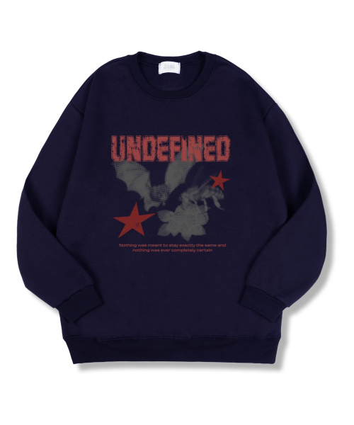 TI.GLAKE(ティーグレイク)の「アンディファイニード オーバーサイズ 特殊裏毛マンツーマンTシャツ 4色(スウェット・レディース・ブラック/ネイビー/グレー/チャコール・MEDIUM/LARGE/X-LARGE/XX-LARGE)」の6枚目の写真