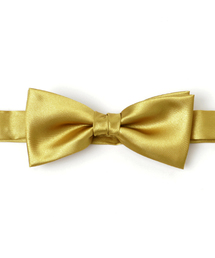 ADPOSION�i�A�h�|�[�V�����j�́u�y���{���z�T�e�� �\���b�h�{�E�^�C�i���l�N�^�C�j�v