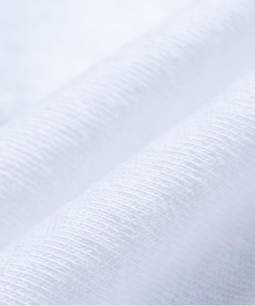 JOHN'S CLOSET（ジョンズクローゼット）の「【13】タイガープリントリンガーTシャツ（Tシャツ/カットソー・メンズ・ブルー/ブラック/レッド/グリーン・LARGE/MEDIUM）」の20枚目の写真