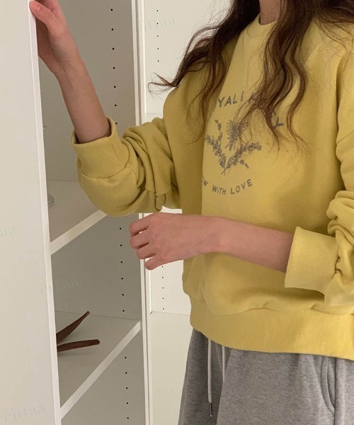 Dalfwin（ダールフィン）の「韓国ファッションHONEYプリントクロップド丈スウェット（スウェット・レディース・グレー系その他/ネイビー/マスタード・FREE）」の18枚目の写真