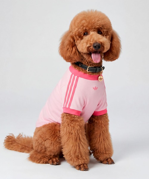 adidas(アディダス)の「ペット カラー / アディダスオリジナルス adidas Originals(リード/ハーネス/首輪・メンズ・レッド・MEDIUM/SMALL)」の6枚目の写真