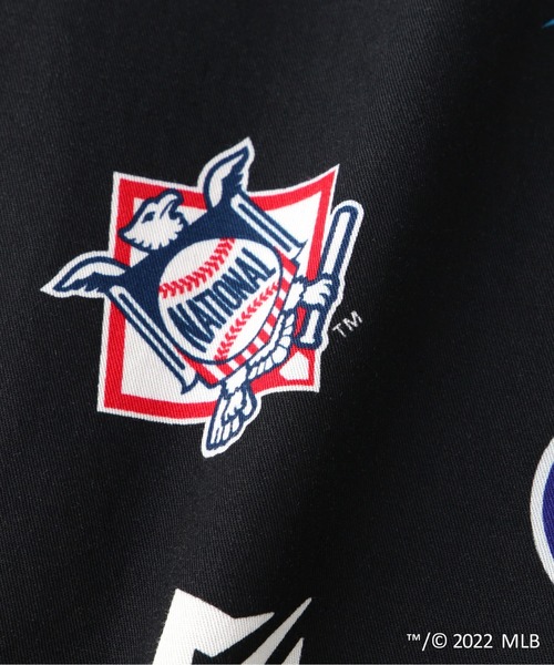 MLBチームロゴ ビアブリック MLBチームロゴ ビアブリック チーム紹介