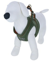 AVIREX 犬 ハーネス、リードセット 緑 Amazon | アヴィレックス MA-1 ハーネス | 胴輪 犬具 胴ベルト