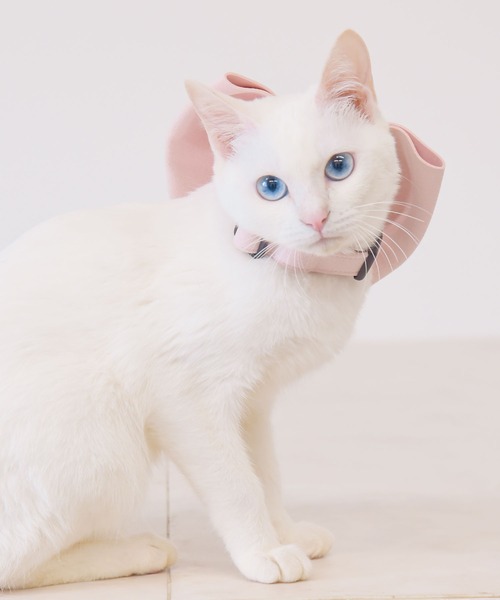 ONEKOSAMA OINUSAMA(オネコサマ)の「ビッグリボン カラー 首輪(リード/ハーネス/首輪・メンズ・ライトブルー/ピンク・M/S)」の12枚目の写真