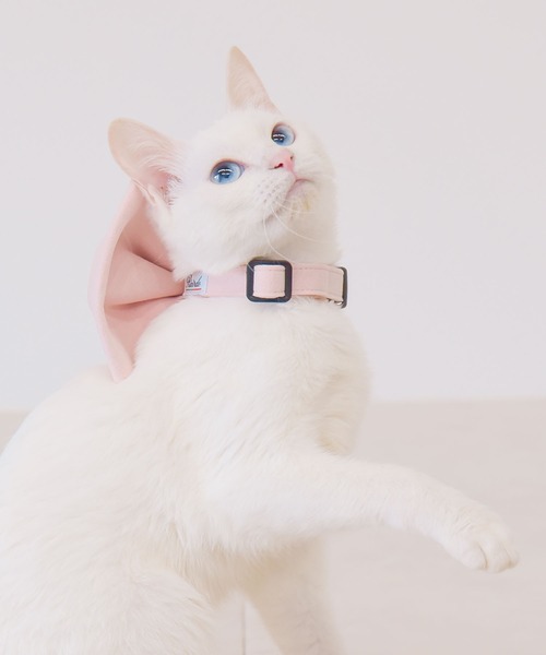 ONEKOSAMA OINUSAMA(オネコサマ)の「ビッグリボン カラー 首輪(リード/ハーネス/首輪・メンズ・ライトブルー/ピンク・M/S)」の13枚目の写真