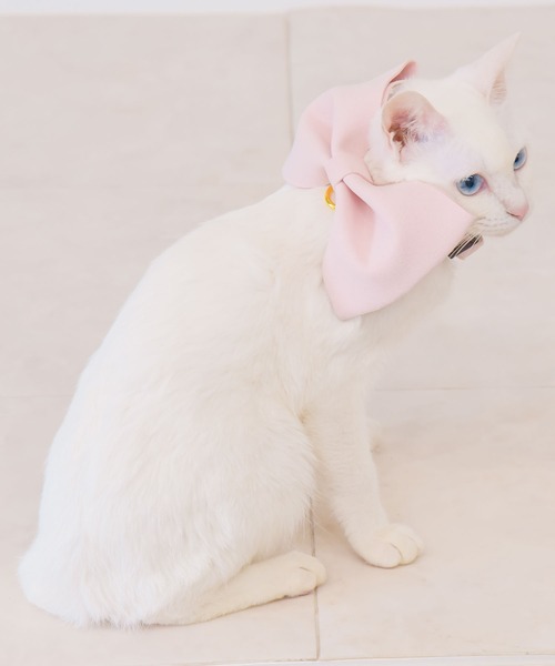 ONEKOSAMA OINUSAMA(オネコサマ)の「ビッグリボン カラー 首輪(リード/ハーネス/首輪・メンズ・ライトブルー/ピンク・M/S)」の14枚目の写真