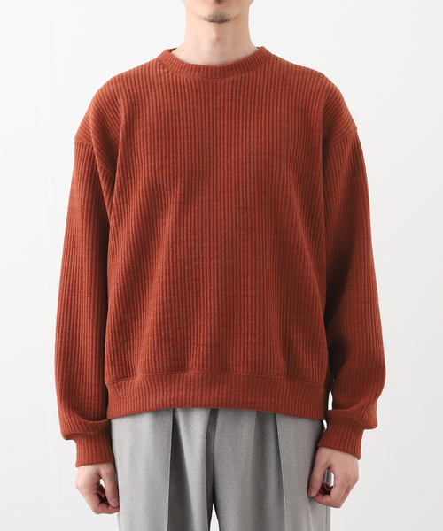 JOURNAL STANDARD(ジャーナルスタンダード)の「モールニット クルーネック(Tシャツ/カットソー・メンズ・レンガ/ベージュ系その他/ライトブルー/チャコールグレー・MEDIUM/LARGE)」の5枚目の写真