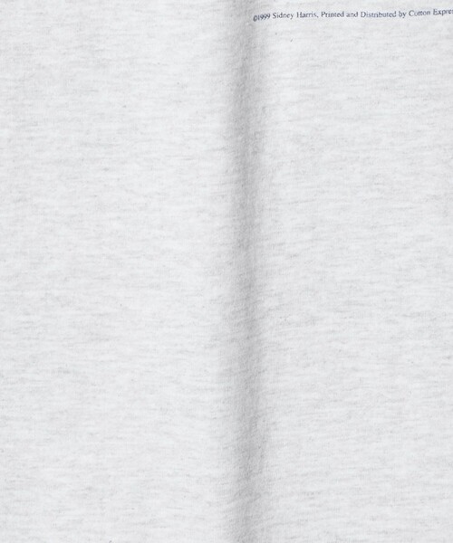 Steven Alan(スティーブンアラン)の「<Cotton Expressions Limited × Steven Alan> Sidney-H T.A.P/Tシャツ(Tシャツ/カットソー・メンズ・ライトグレー・L/XL)」の7枚目の写真