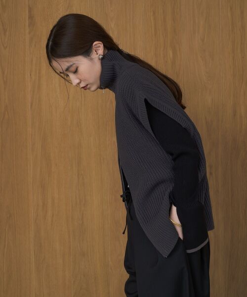 ems excite（エムズエキサイト）の「W ZIP ニットベスト（ベスト・レディース・ブラウン/チャコールグレー/ライトグレー・FREE）」の8枚目の写真