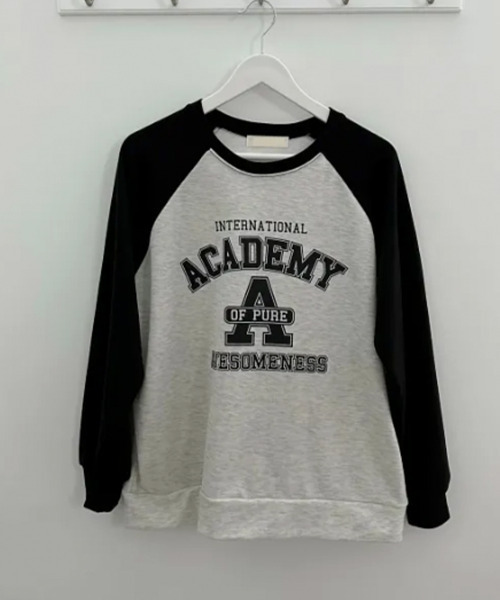 VIVID LADY(ビビッドレディー)の「カレッジロゴ 配色 ラグランスウェット ロンT(Tシャツ/カットソー・レディース・カーキ/ネイビー/ライトグレー・FREE)」の22枚目の写真