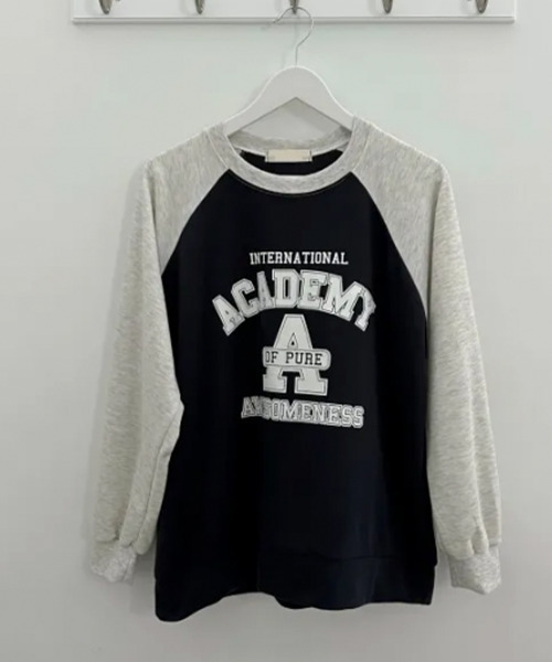 VIVID LADY(ビビッドレディー)の「カレッジロゴ 配色 ラグランスウェット ロンT(Tシャツ/カットソー・レディース・カーキ/ネイビー/ライトグレー・FREE)」の12枚目の写真