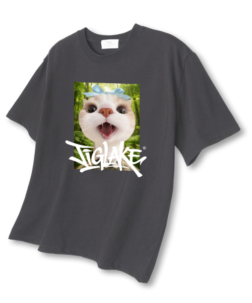 TI.GLAKE(ティーグレイク)の「サプライズオーバーサイズ半袖Tシャツダークグレー(Tシャツ/カットソー・メンズ・その他・LARGE/X-LARGE/XX-LARGE)」の1枚目の写真