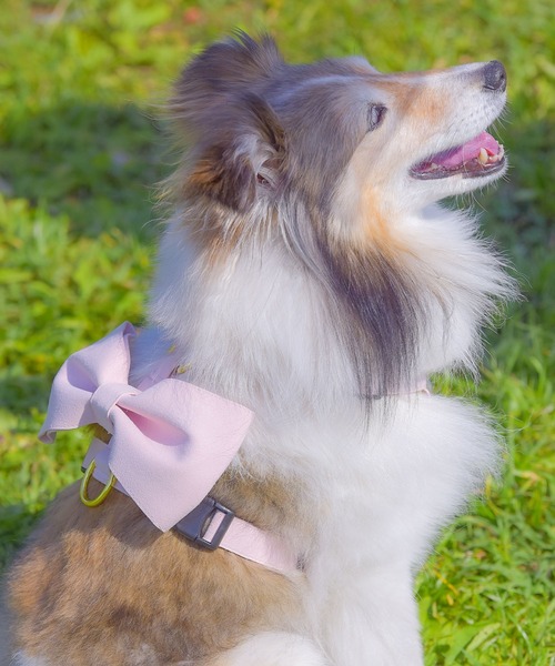 スウェード ビッグリボンハーネス（リード/ハーネス/首輪）｜ONEKOSAMA