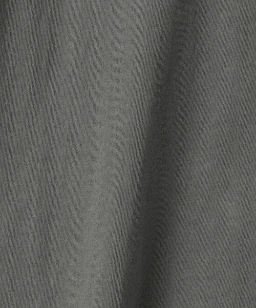 TACOMA FUJI RECORDS（タコマフジレコード）の「＜TACOMA FUJI RECORDS＞ ZEN HIKER SS TEE/Tシャツ（Tシャツ/カットソー・メンズ・ダークグレー・XL/L/M）」の7枚目の写真