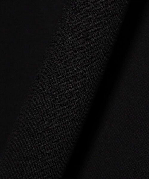 BRILLA per il gusto（ブリッラペルイルグースト）の「WEARLNESS / Dress Tシャツ（Tシャツ/カットソー・メンズ・ブラック/ホワイト・LARGE/MEDIUM/X-LARGE）」の19枚目の写真