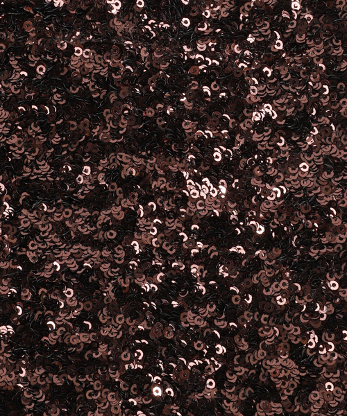 Spick & Span（スピックアンドスパン）の「《追加》Uhr/ウーア 別注Spangle Tote Bag*（トートバッグ・レディース・ブラウン/シルバー/ネイビー・FREE）」の22枚目の写真