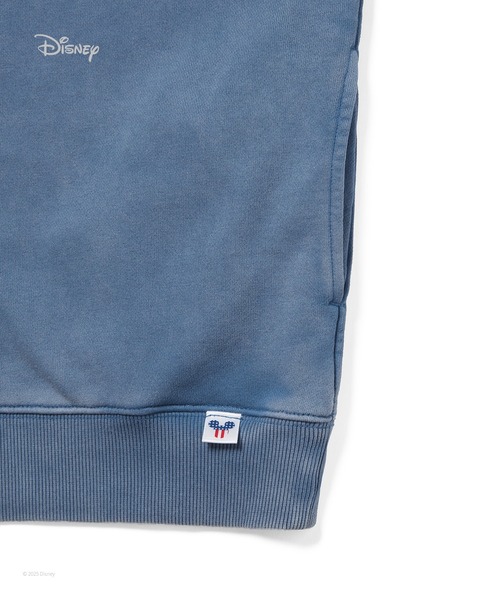 thisisneverthat(ディスイズネバーザット)の「TNT_Mickey_Frame Half Zip Sweatshirt(スウェット・メンズ・グレイッシュブルー/ブラウン・S/M/L/XL)」の7枚目の写真