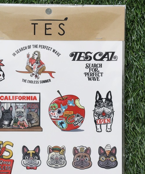 The Endless Summer（エンドレスサマー）の「TES × POP FIRE A4