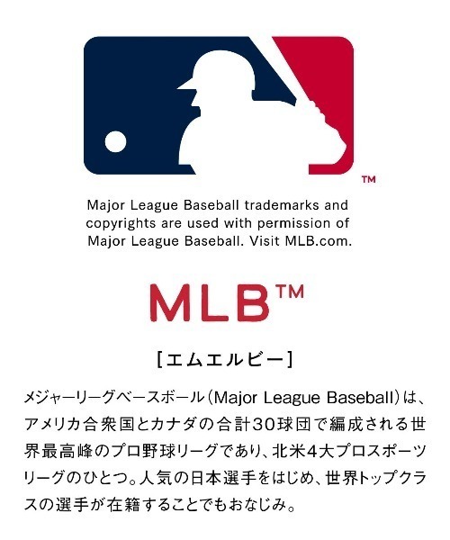 IEDIT(イディット)の「IEDIT オリジナルMLBデザイン ダークカラーでシックにきまる大人のゆるスウェット(スウェット・レディース・グレー/ブラック/ネイビー・LL/3L/M/L/S/4L)」の22枚目の写真