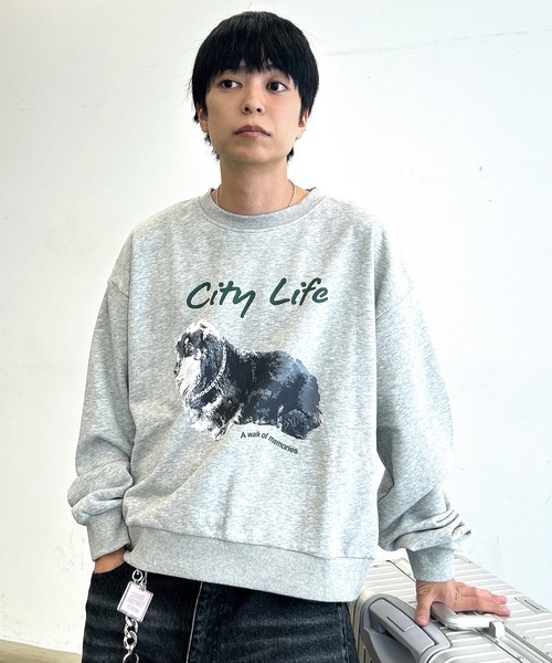 UNDERSTATEMENTs（アンダーステイトメント）の「【ユニセックス】アソートデザインプリントスウェット/全17色（スウェット・メンズ・レッド系その他/ネイビー/グリーン系その他/グレー系その他3/グレー系その他2/レッド/グリーン/ホワイト系その他/ブルー系その他/ブルー/杢グレー/チャコールグレー/ブラック系その他/オフホワイト/ブルー系その他2/グレー系その他/ブラック・LARGE/MEDIUM）」の18枚目の写真