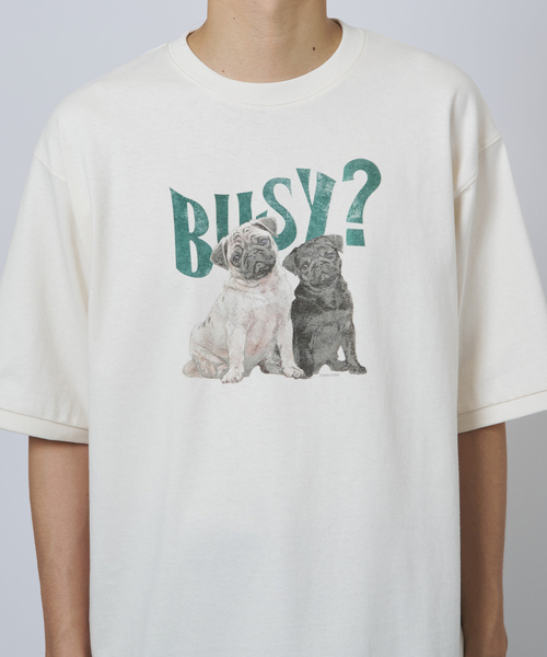 B.C STOCK（ベーセーストック）の「ドッグ＆キャット アソートハーフスリーブTシャツ（Tシャツ/カットソー・メンズ・カーキ/アイボリー/レッド/ホワイト系その他/ホワイト・FREE）」の10枚目の写真