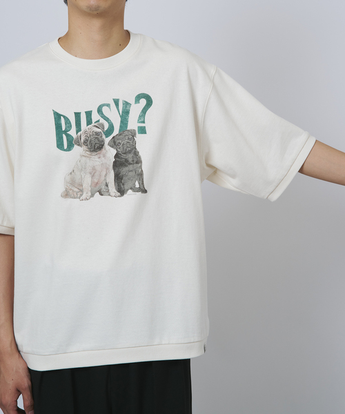 B.C STOCK（ベーセーストック）の「ドッグ＆キャット アソートハーフスリーブTシャツ（Tシャツ/カットソー・メンズ・カーキ/アイボリー/レッド/ホワイト系その他/ホワイト・FREE）」の11枚目の写真