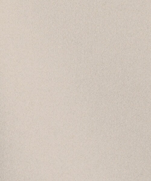 NOLLEY’S（ノーリーズ）の「ウォッシャブルストレッチジャージベスト（ベスト・レディース・ベージュ/ブラック・FREE）」の20枚目の写真